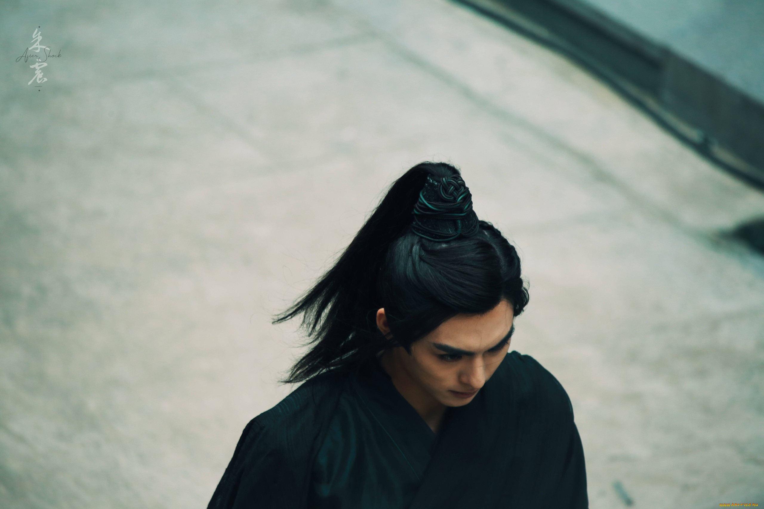 dance of the phoenix,  , , , , , wang, hao, xuan